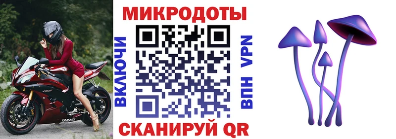 МЕГА маркетплейс  Нюрба  Псилоцибиновые грибы Cubensis 