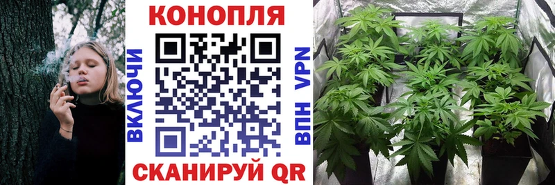 Конопля марихуана Нюрба